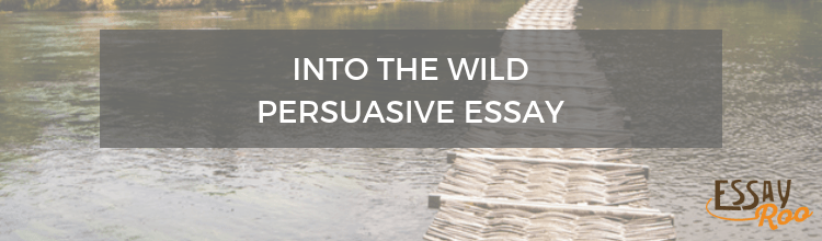 Into the wild persuasive essay