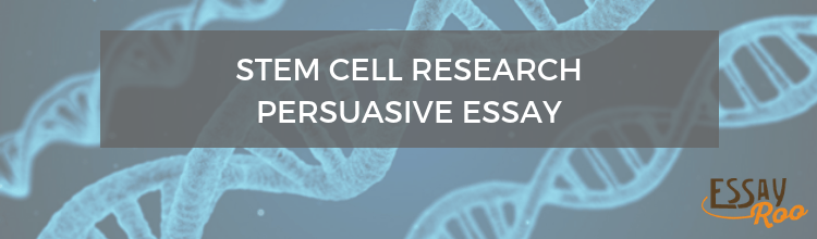 Stem cell research persuasive essay