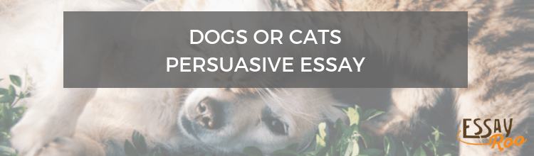 persuasive essay dogs are better than cats