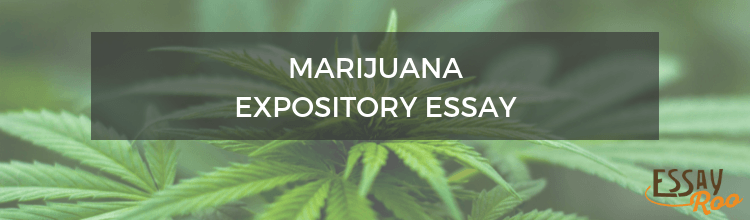 Marijuana expository essay